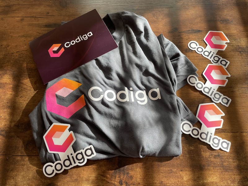 Rewards for the Codiga Coding Assistant