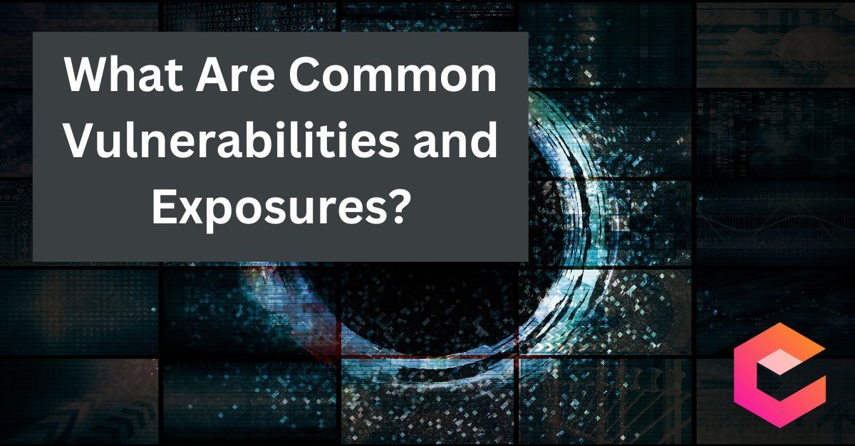 What Are Common Vulnerabilities and Exposures (CVE) and How Can They Be Avoided?