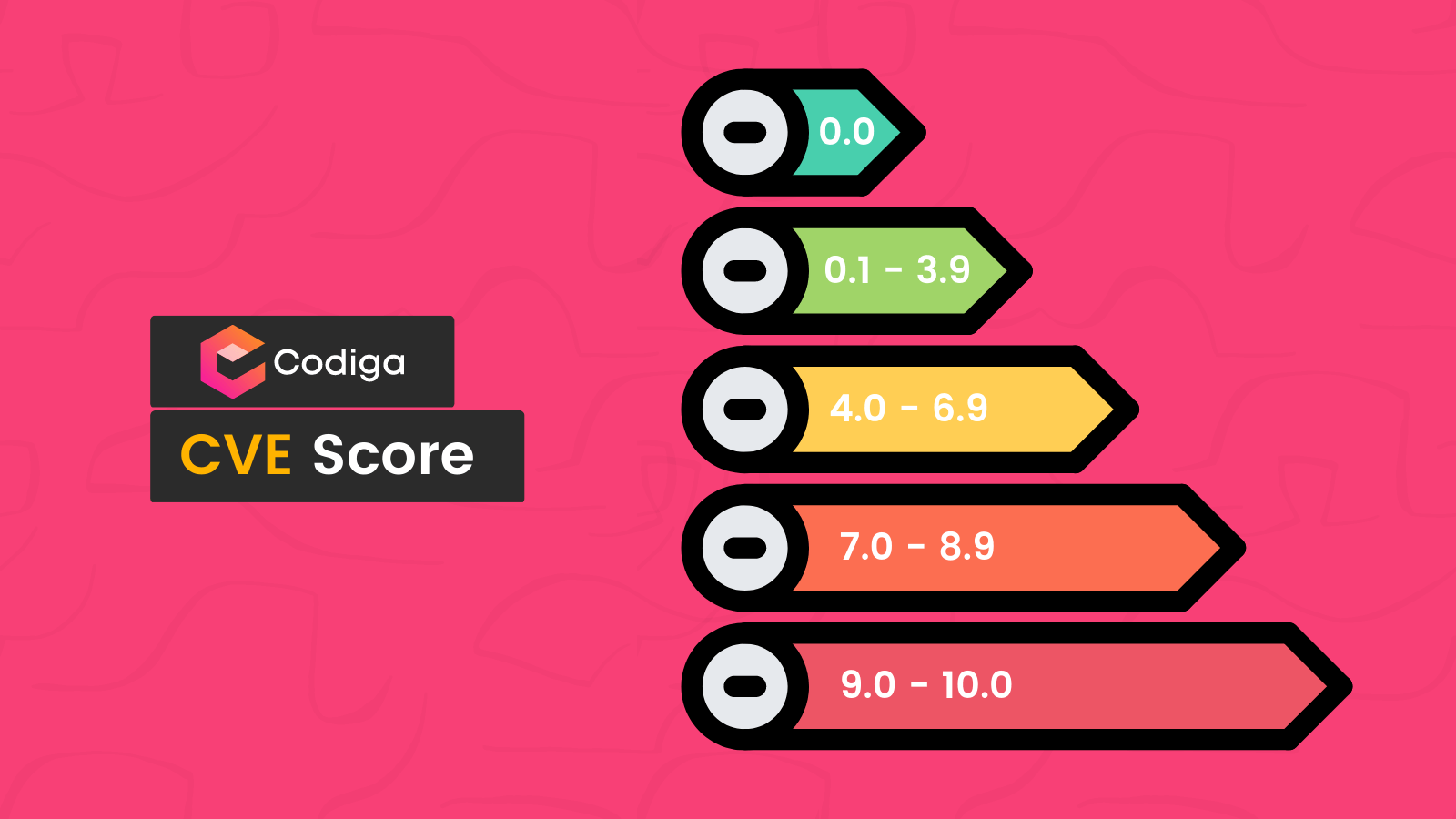 CVE score explanation